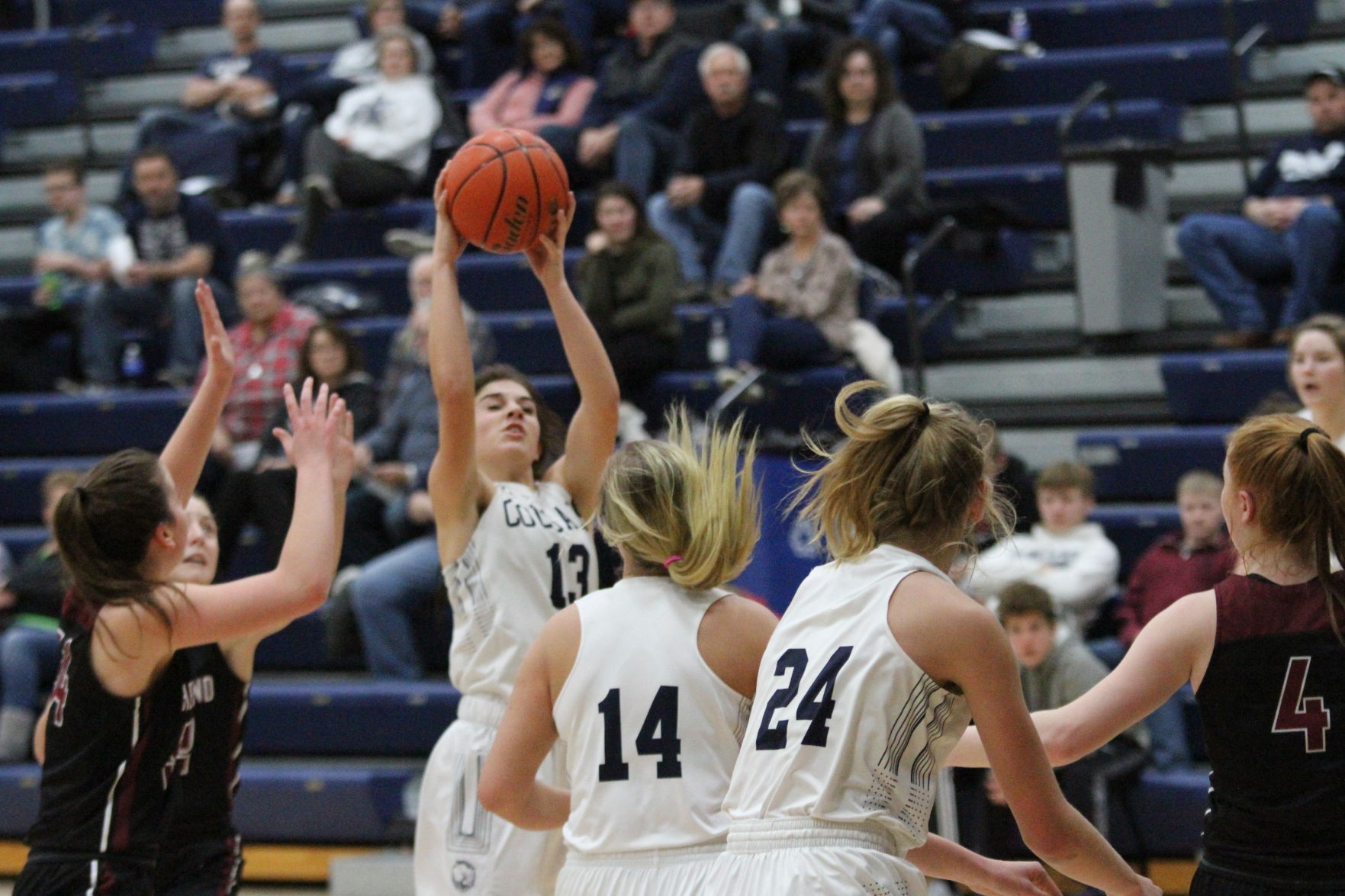 Heartland at Cross County girls basketball 23.jpeg